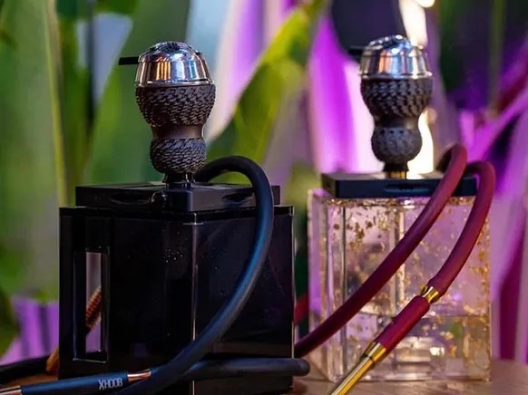 WhatsApp Image 2026-02-07 at 12.03.39